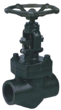 Forged steel globe valve