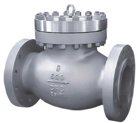 Swing check valve